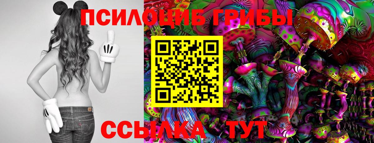 Псилоцибиновые грибы Cubensis Мытищи