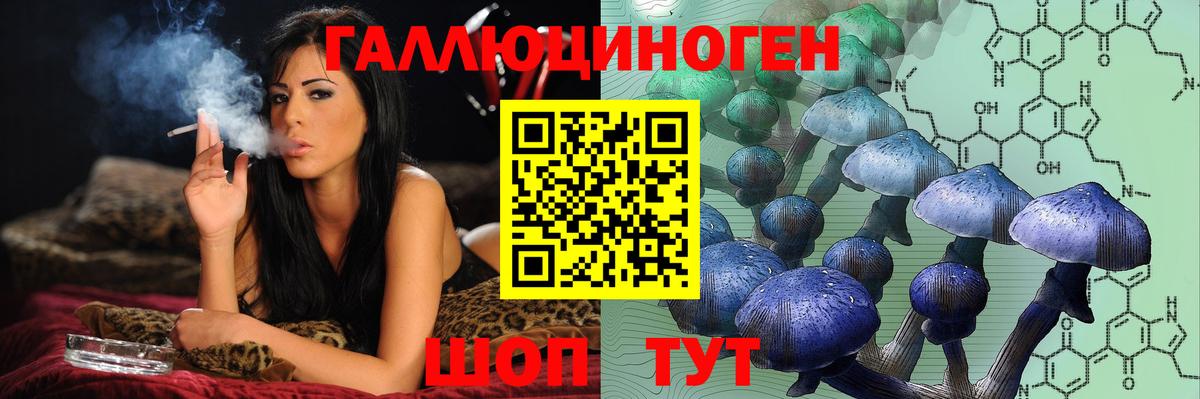 Псилоцибиновые грибы Psilocybine cubensis  Вход с VPN  Мытищи 